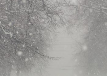 "Фрэнсис" обрушился на Рязанскую область «Фрэнсис» обрушился на Рязанскую область