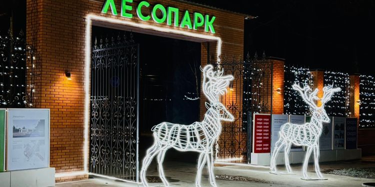 Рязанский Лесопарк украсили к Новому году