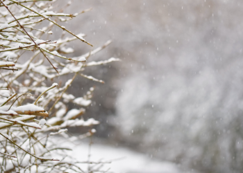 В ночь на вторник в Рязанской области похолодает до -13 градусов