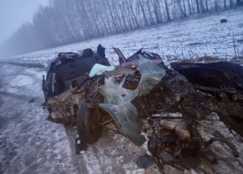 В ДТП в Александро-Невском районе погибли два человека