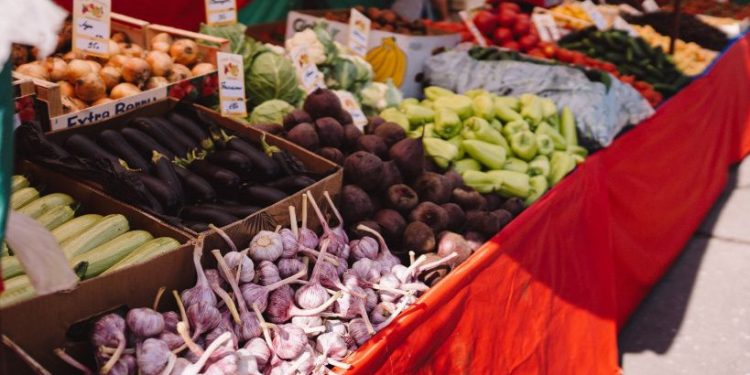 С 8 ноября для рязанцев откроется универсальная ярмарка "Фантазии осени" С 8 ноября для рязанцев откроется универсальная ярмарка «Фантазии осени»