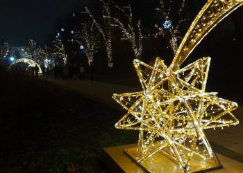 Рязанский Лыбедский бульвар украсили к Новому году Рязанский Лыбедский бульвар украсили к Новому году