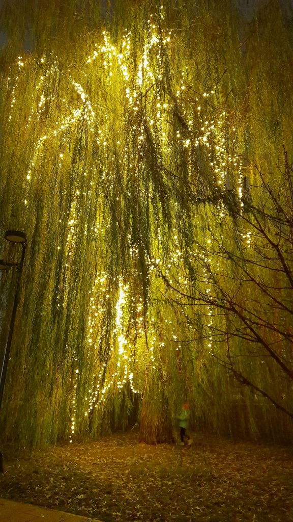 Рязанский Лыбедский бульвар украсили к Новому году