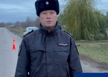 В ДТП в Скопинском районе под колесами автомобиля погиб 39-летний пешеход В ДТП в Скопинском районе под колесами автомобиля погиб 39-летний пешеход