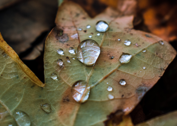 Синоптик Тишковец: в предстоящие выходные Центральную Россию накроют проливные дожди Синоптик Тишковец: в предстоящие выходные Центральную Россию накроют проливные дожди