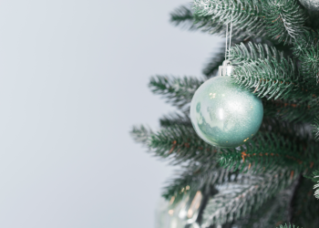 Рязанские полицейские нашли подростков, повредивших новогоднюю елку на Михайловском шоссе Рязанские полицейские нашли подростков, повредивших новогоднюю елку на Михайловском шоссе