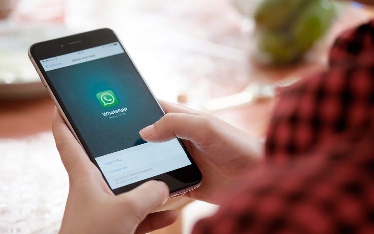 Пользователям WhatsApp стала доступна функция отправки сообщения самому себе