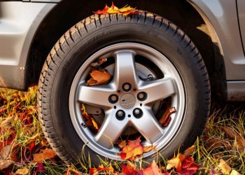 С начала 2025 года за парковку на газонах в Рязани оштрафовали 11 009 водителей С начала 2025 года за парковку на газонах в Рязани оштрафовали 11 009 водителей