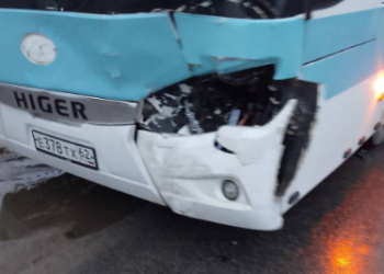 В Шиловском районе пассажирский автобус сбил корову В Шиловском районе пассажирский автобус сбил корову