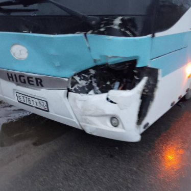 В Шиловском районе пассажирский автобус сбил корову