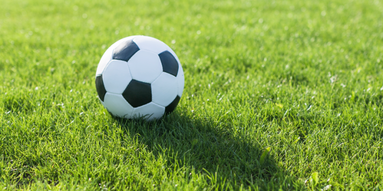 В Рязанском регионе заработала программа "Земский тренер" В Рязанском регионе заработала программа «Земский тренер»