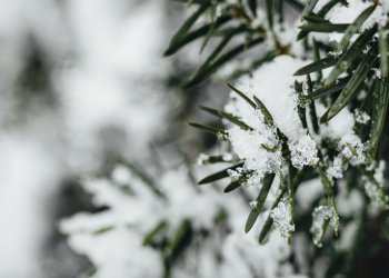 Для рязанцев выпустили метеопредупреждение 11 декабря Для рязанцев выпустили метеопредупреждение 11 декабря