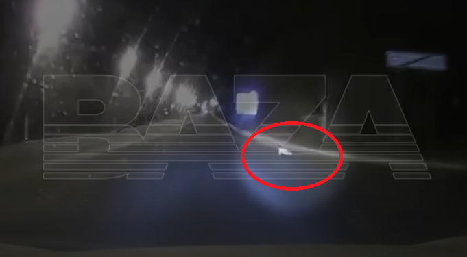 На границе Рязанской и Московской областей на автодорогу выполз младенец На границе Рязанской и Московской областей на автодорогу выполз младенец