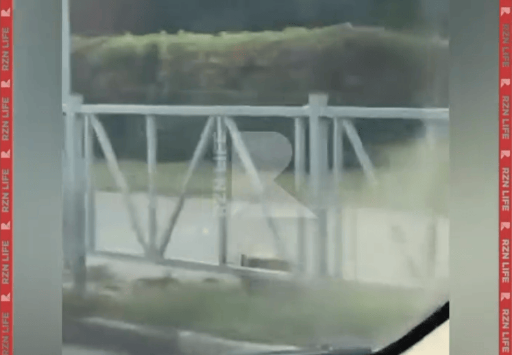 Горожане пожаловались на спил здоровых деревьев в центре Рязани