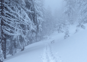 В субботу в Рязанской области ожидается метель и до -7 градусов В субботу в Рязанской области ожидается метель и до -7 градусов