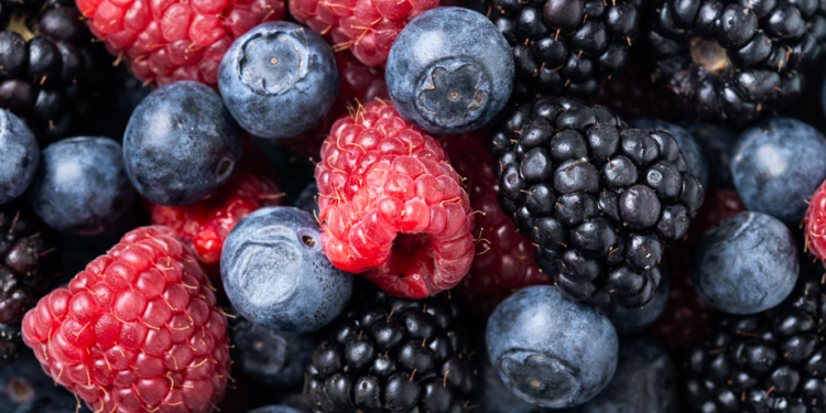 Диетолог Волкова назвала самые полезные для организма ягоды