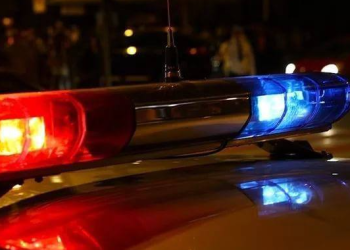 Со 2 по 4 ноября на рязанских дорогах пройдут массовые рейды