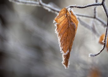 Россиян предупредили об ощутимом похолодании на следующей неделе Россиян предупредили об ощутимом похолодании на следующей неделе