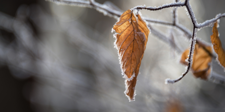 Россиян предупредили об ощутимом похолодании на следующей неделе