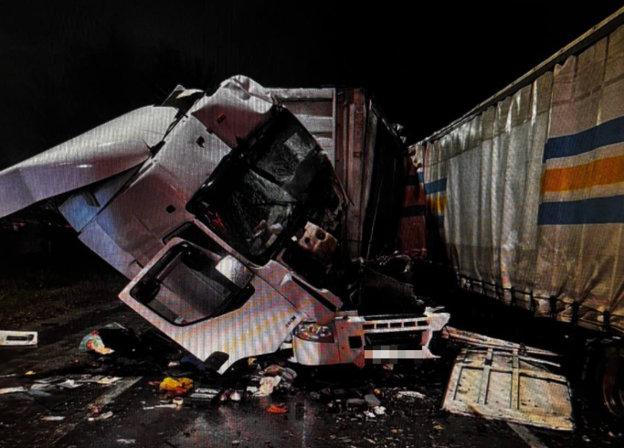 В ДТП с двумя грузовиками в Рязанской области пострадал один человек В ДТП с двумя грузовиками в Рязанской области пострадал один человек