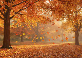 Россиян ждут последние аномально теплые выходные Россиян ждут последние аномально теплые выходные