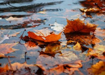 Рязанцев предупредили о сильном дожде вечером 12 ноября