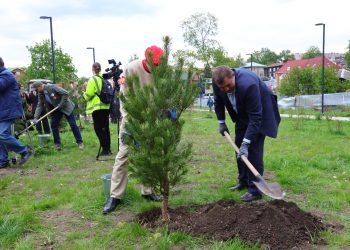 На территории рязанского Лыбедского бульвара высадили «Сад памяти»