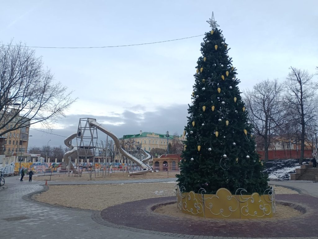 Мэрия: в рязанском Нижнем горпарке детскую площадку официально не открыли