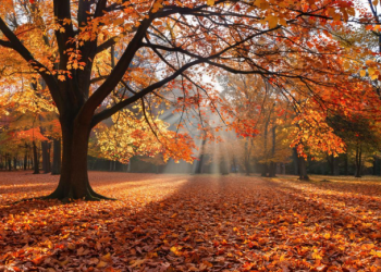 В воскресенье в Рязанской области потеплеет до +13 градусов В воскресенье в Рязанской области потеплеет до +13 градусов