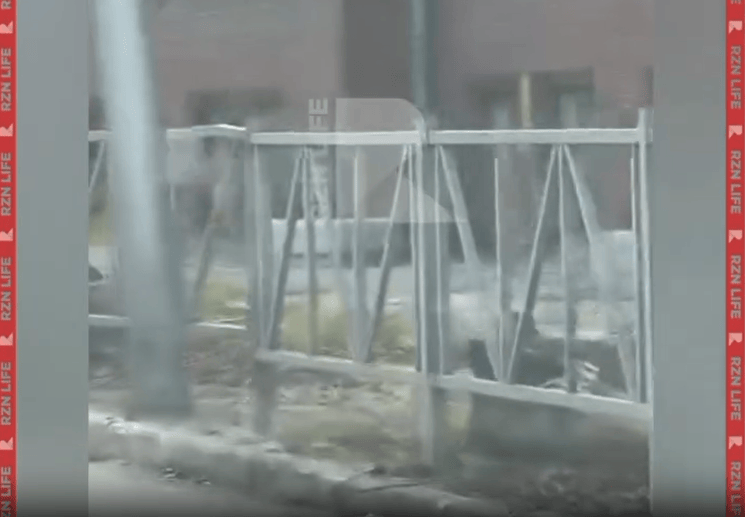 Горожане пожаловались на спил здоровых деревьев в центре Рязани