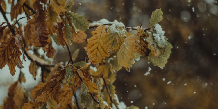 Синоптик Ильин предупредил россиян о надвигающемся циклоне "Барбара" Синоптик Ильин предупредил россиян о надвигающемся циклоне «Барбара»
