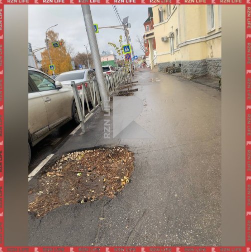 Рязанцы пожаловались на вырубку деревьев на улице Горького