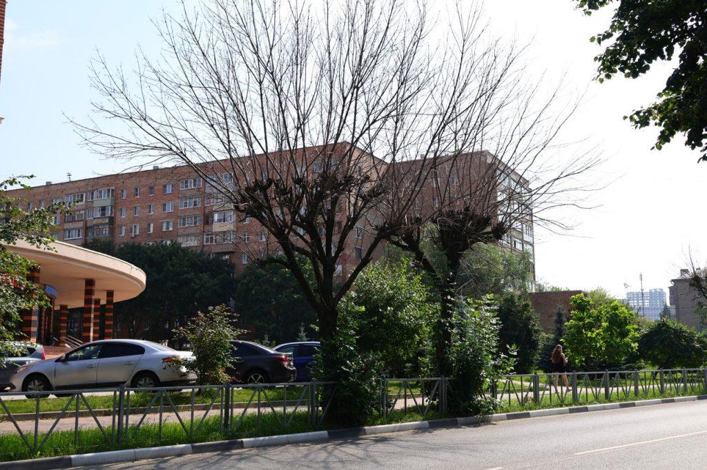 Мэр Рязани Виталий Артемов осмотрел территории, где реализуются проекты местных инициатив