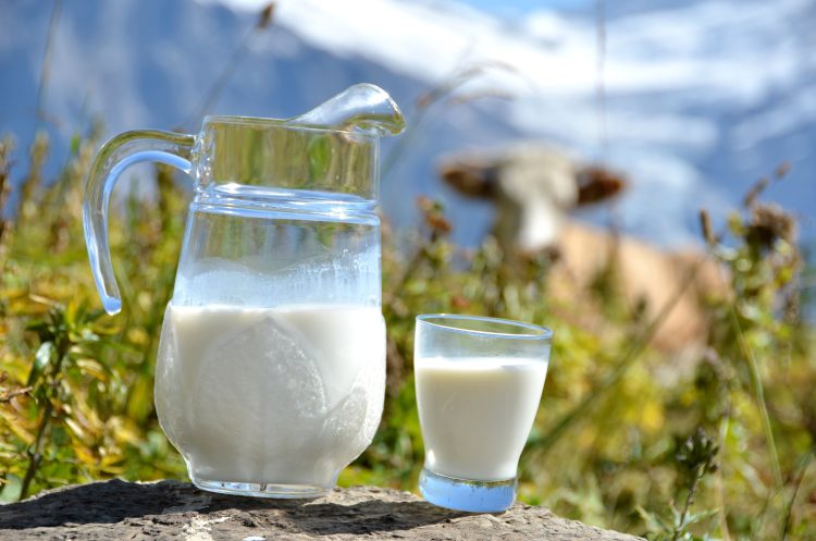 В России изобретен прибор, предотвращающий инфекции от молока