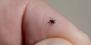 В Рязанской области скоро проснутся клещи