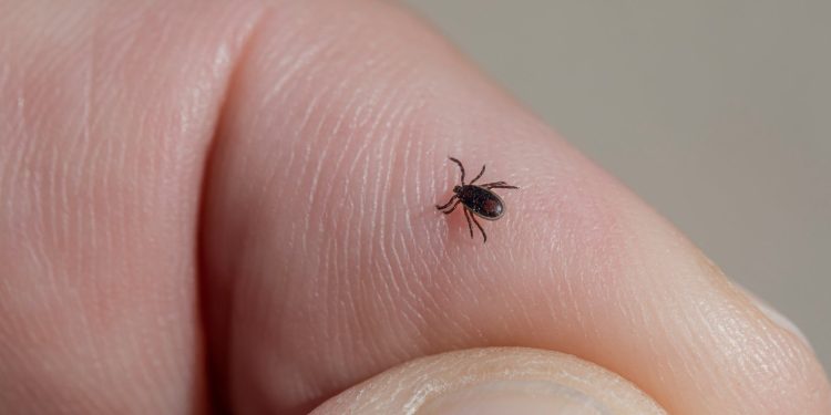 В Рязанской области скоро проснутся клещи