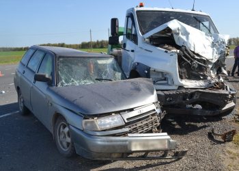 В массовом ДТП в Рязанском регионе пострадали три человека