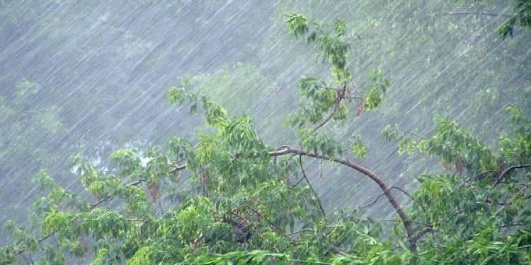 Рязанцев предупредили об ухудшении погоды 14 июля Рязанцев предупредили об ухудшении погоды 14 июля