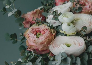 Губернатор Павел Малков поздравил рязанок с 8 марта.