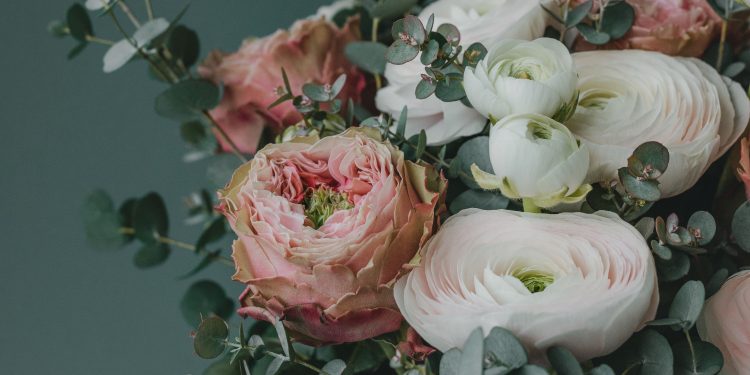 Губернатор Павел Малков поздравил рязанок с 8 марта.