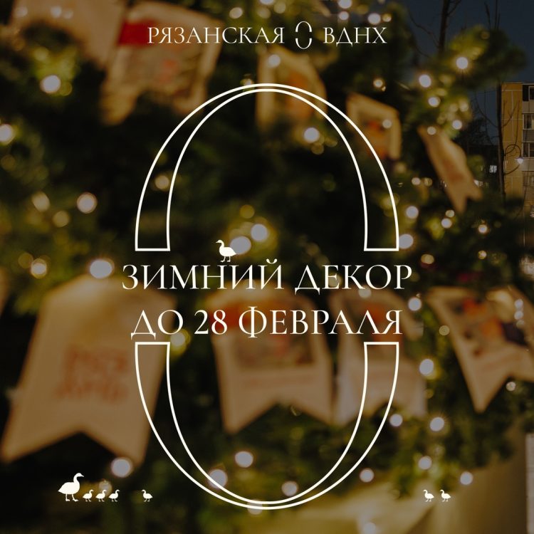 Новогоднее убранство на Рязанской ВДНХ будет радовать рязанцев до 28 февраля