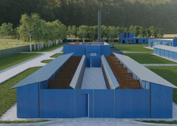 На контроль строительства приюта для животных в Рязанской области потратят более 7 миллионов На контроль строительства приюта для животных в Рязанской области потратят более 7 миллионов