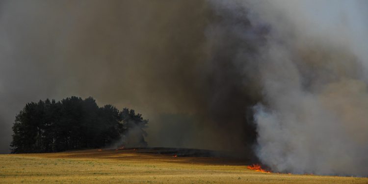 Пожароопасный сезон в Рязанской области начнется уже со следующего понедельника Пожароопасный сезон в Рязанской области начнется уже со следующего понедельника