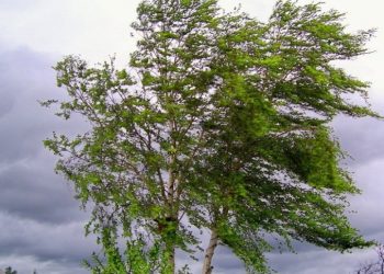 Гидрометцентр: желтый уровень опасности в Рязанской области продлили до 2 июля Гидрометцентр: желтый уровень опасности в Рязанской области продлили до 2 июля