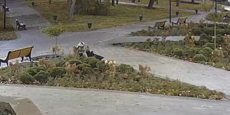 В рязанском Нижнем горпарке неизвестная украла цветы В рязанском Нижнем горпарке неизвестная украла цветы