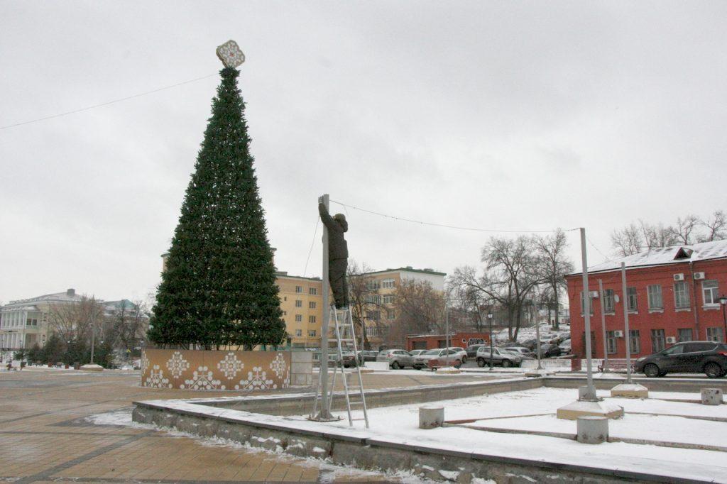 Новогоднюю ель на рязанской площади Ленина украсят 300 шариками