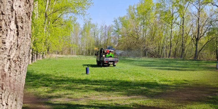 В Рязани обработали парки и скверы от клещей В Рязани обработали парки и скверы от клещей