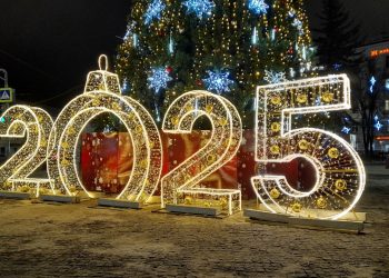 Власти просят рязанцев отказаться от салютов в новогодние праздники