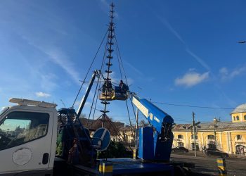 На рязанской площади Ленина собирают 22-метровую новогоднюю ель На рязанской площади Ленина собирают 22-метровую новогоднюю ель