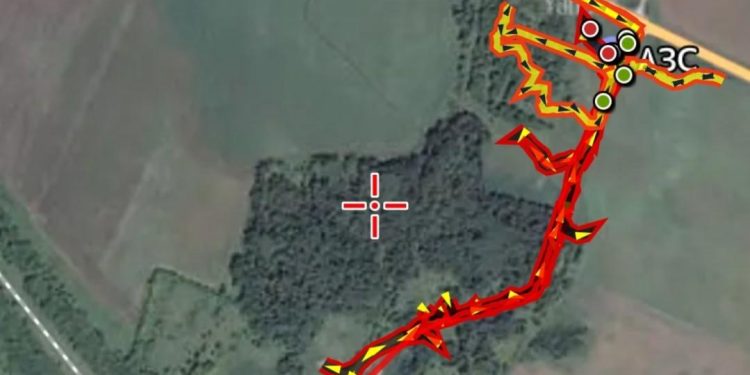 Волонтеры нашли труп пропавшего рязанца